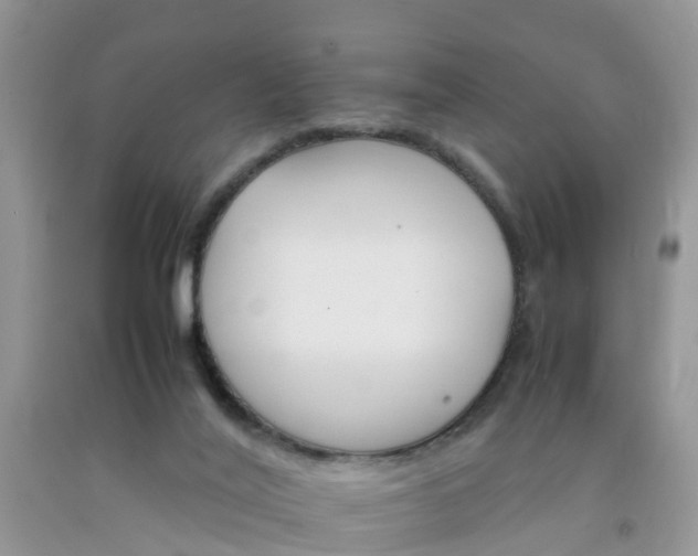 X0000092050020200709191130