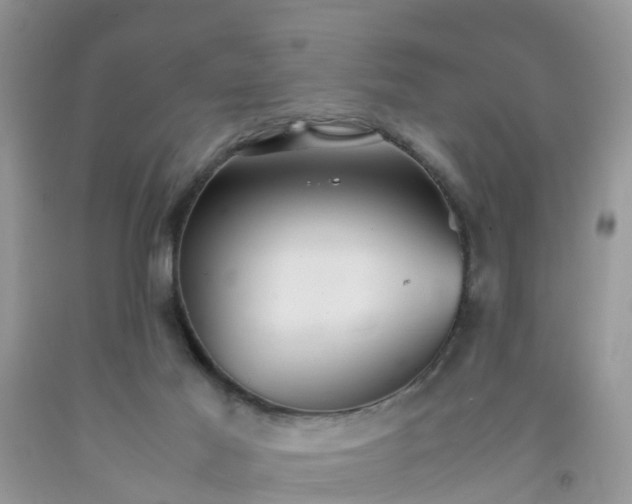 X0000092050021200709191130