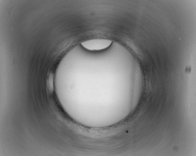 X0000092050022200709191130