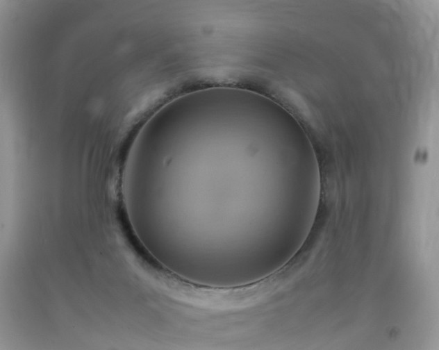 X0000092050023200709191130