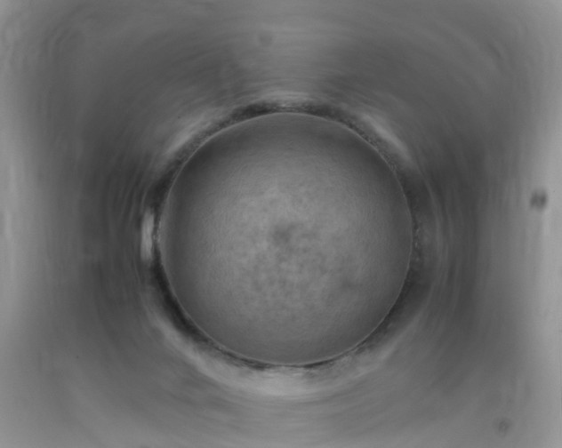 X0000092050024200709191130