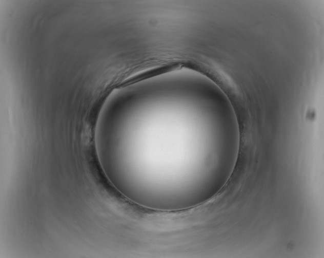 X0000092050025200709191130