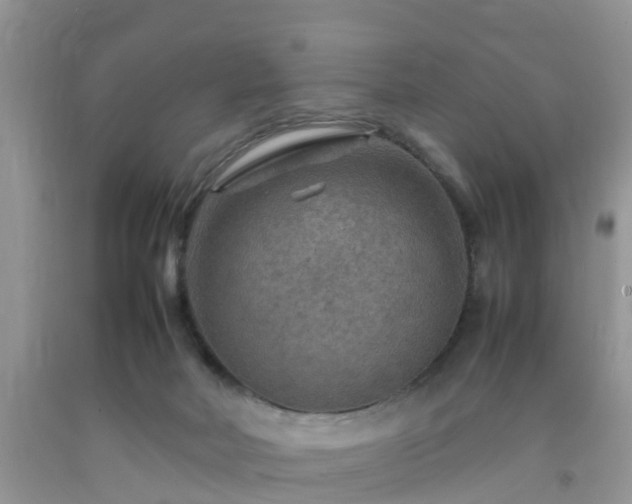 X0000092050026200709191130