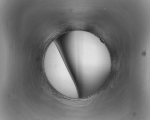 X0000092050027200709191130