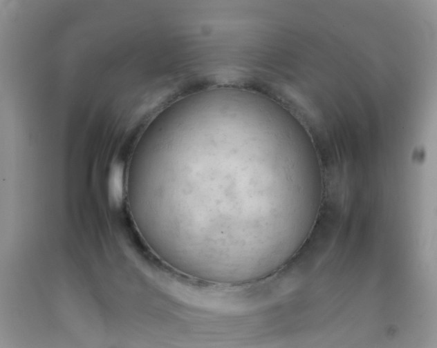 X0000092050028200709191130