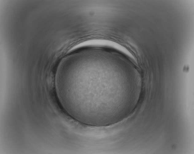 X0000092050029200709191130