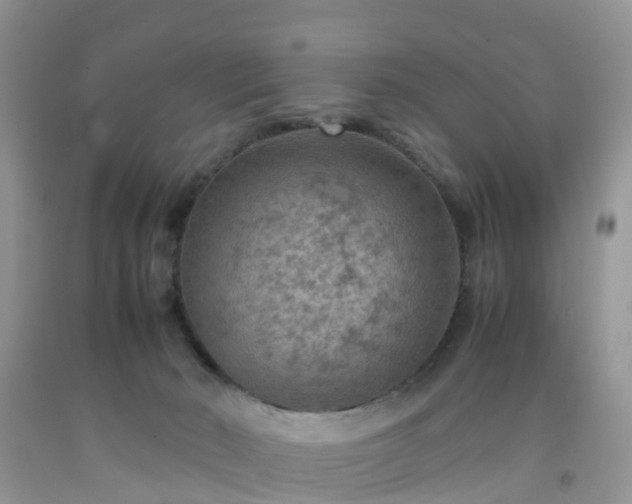 X0000092050030200709191130