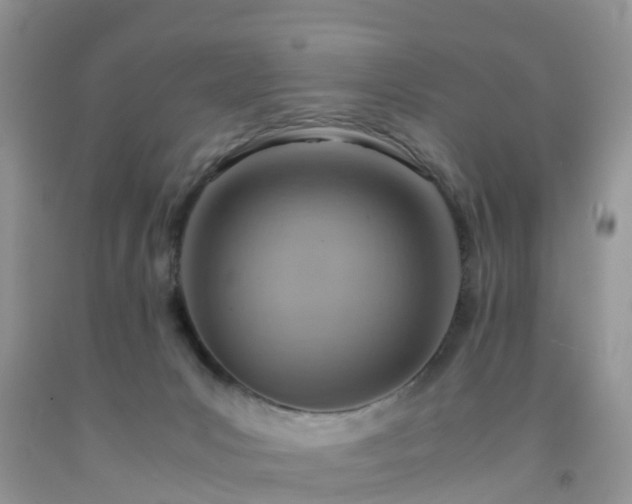 X0000092050031200709191130