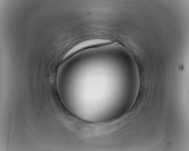 X0000092050033200709191130