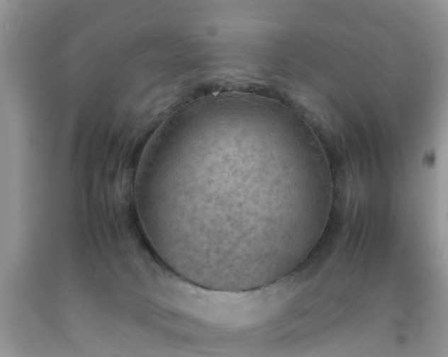 X0000092050034200709191130