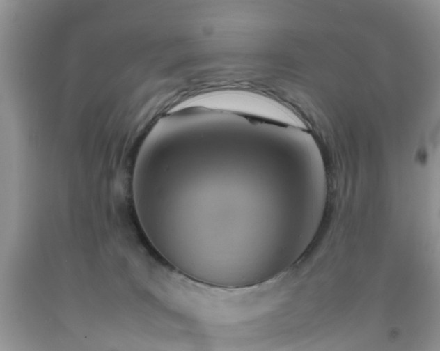 X0000092050035200709191130