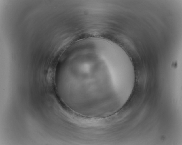 X0000092050036200709191130