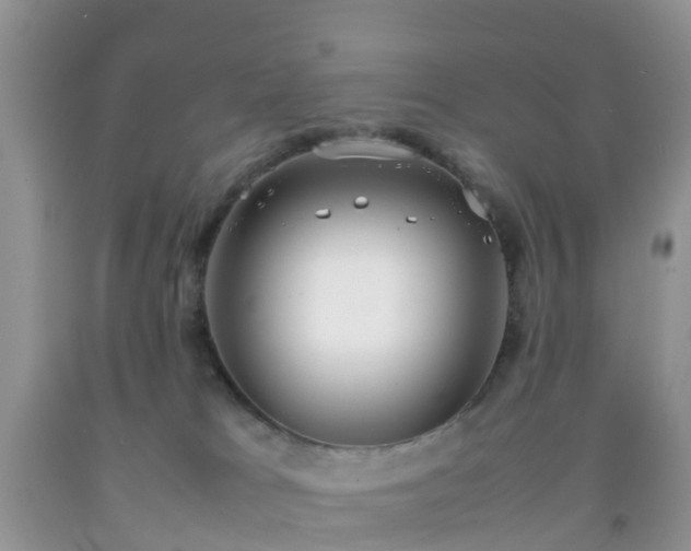 X0000092050037200709191130