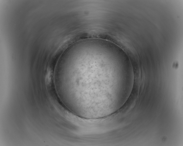 X0000092050038200709191130