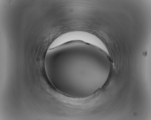 X0000092050039200709191130