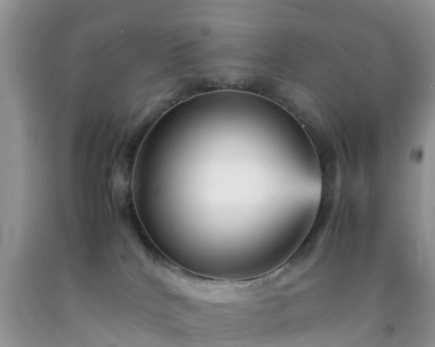 X0000092050040200709191130