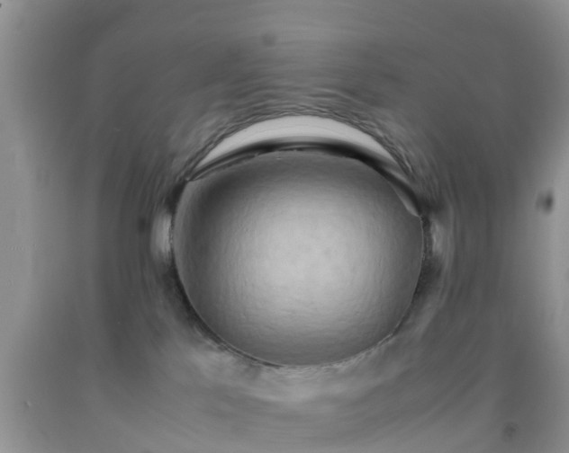 X0000092050041200709191130