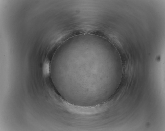 X0000092050042200709191130