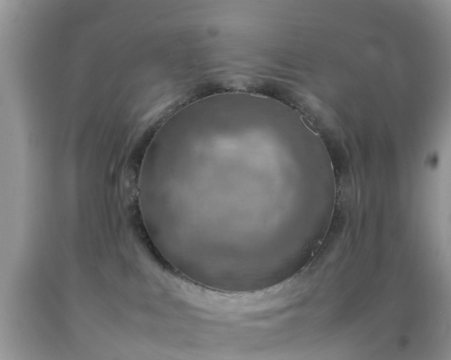 X0000092050043200709191129