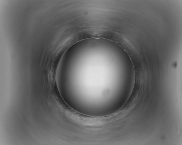 X0000092050044200709191129