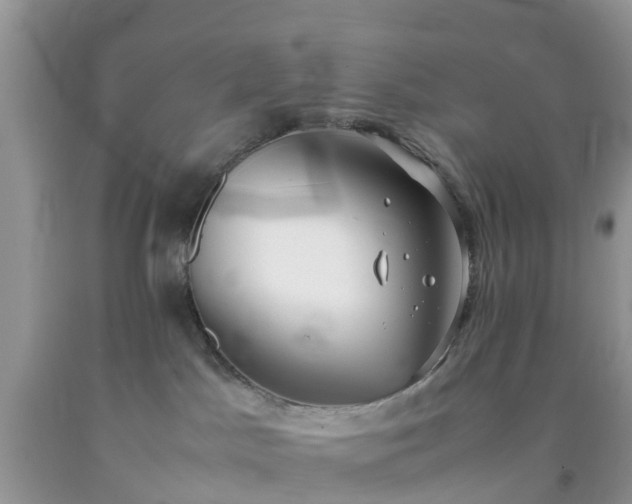 X0000092050045200709191129