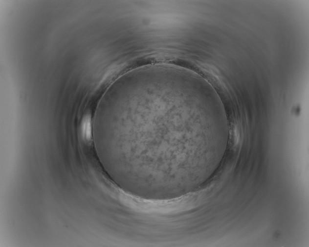 X0000092050046200709191129