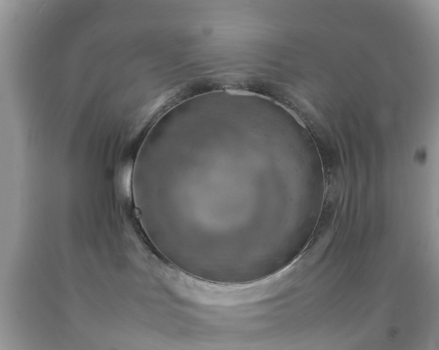 X0000092050047200709191129