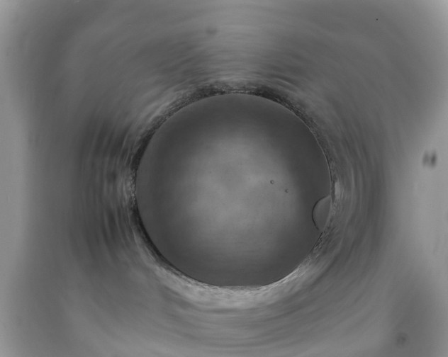 X0000092050048200709191129