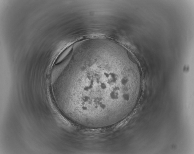 X0000092050049200709191129