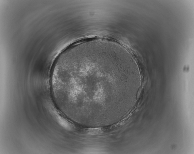 X0000092050050200709191129