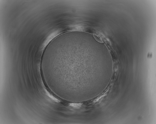 X0000092050051200709191129