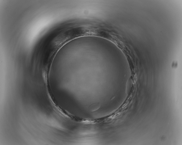 X0000092050052200709191129