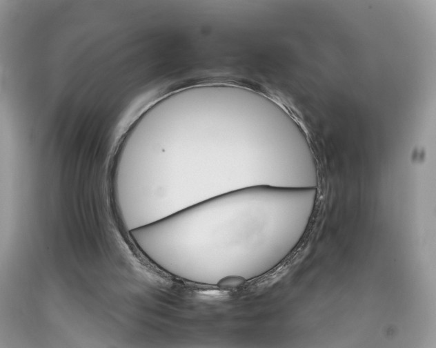 X0000092050053200709191129