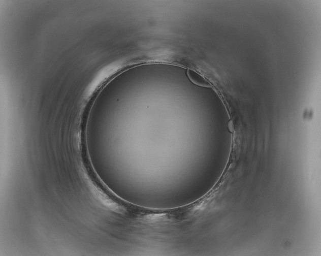 X0000092050054200709191129