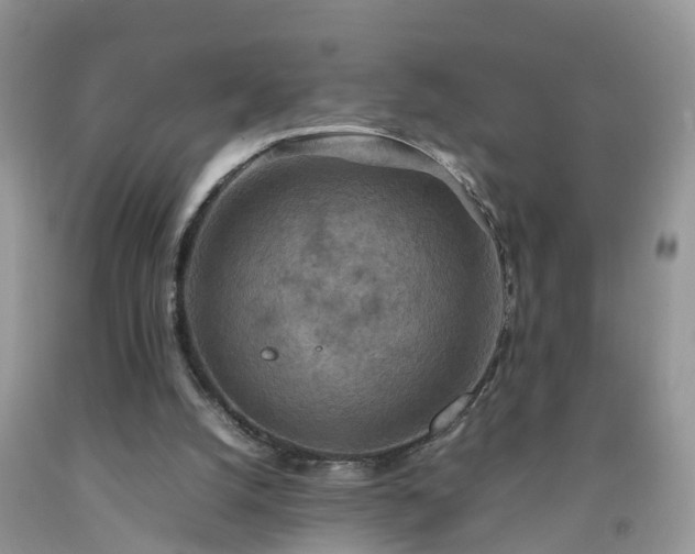 X0000092050056200709191129