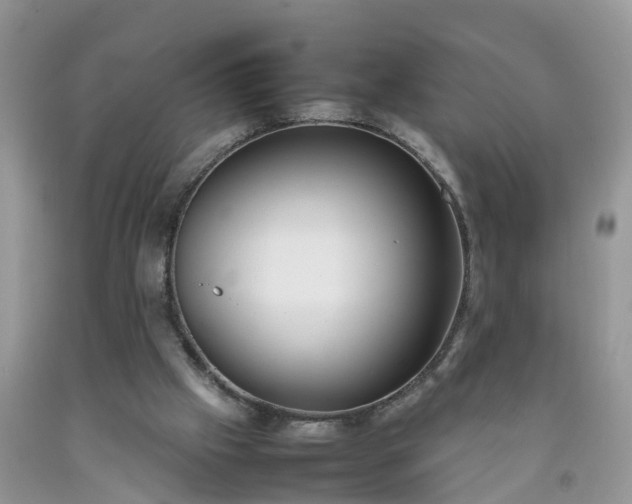 X0000092050057200709191129