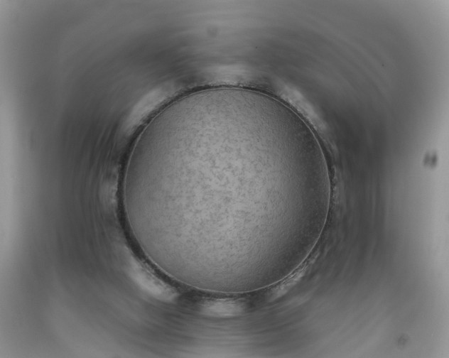 X0000092050058200709191129