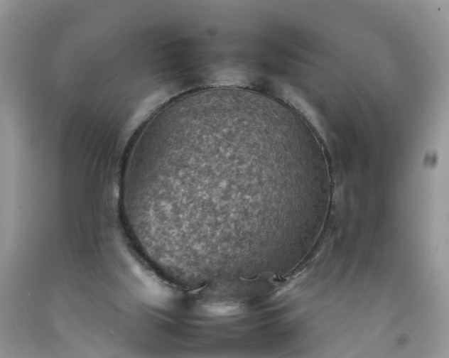 X0000092050059200709191129