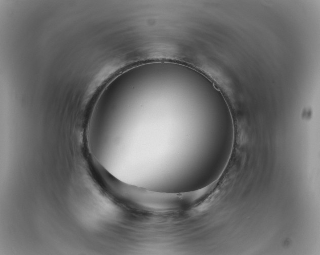 X0000092050060200709191129