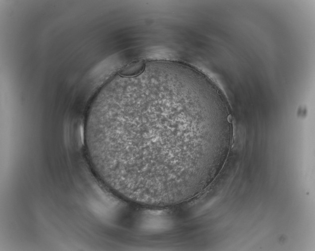 X0000092050061200709191129