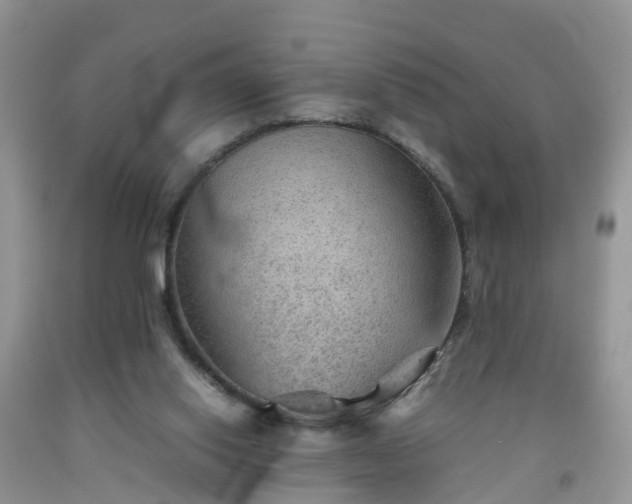 X0000092050062200709191129