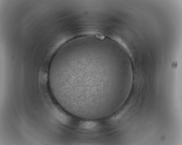 X0000092050063200709191129