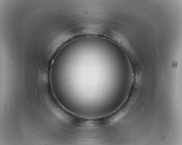 X0000092050064200709191129