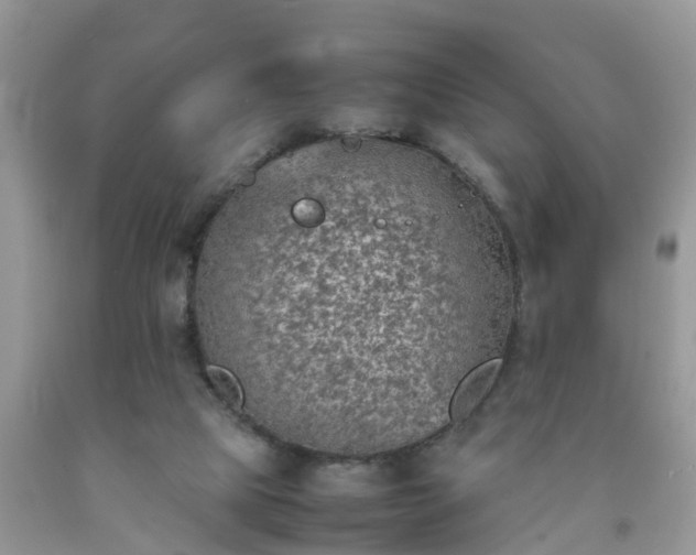 X0000092050065200709191129