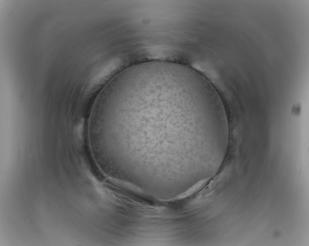 X0000092050066200709191129