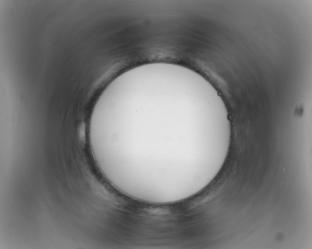 X0000092050067200709191129