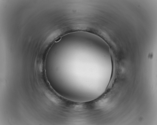 X0000092050068200709191129