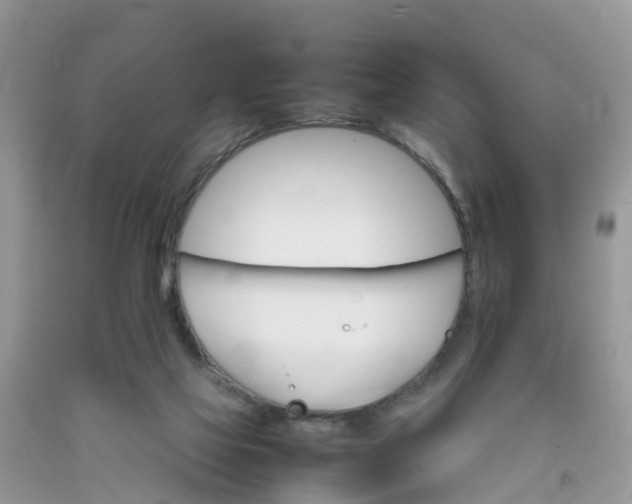 X0000092050069200709191129