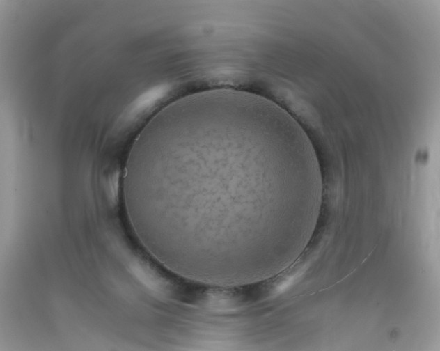 X0000092050070200709191129