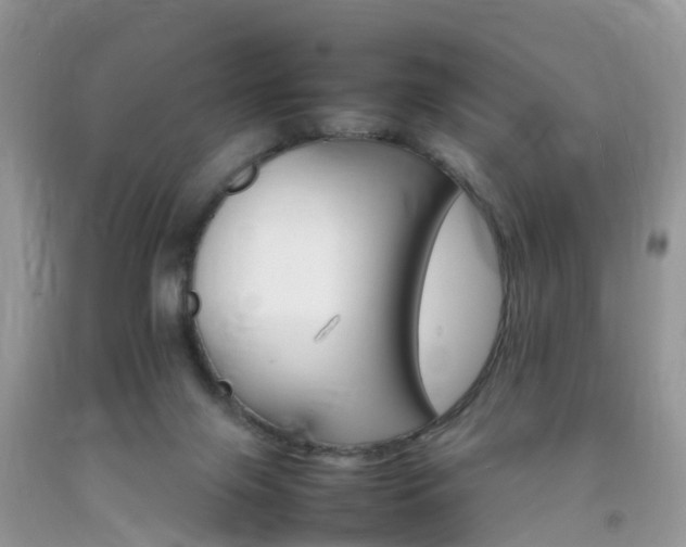 X0000092050071200709191129